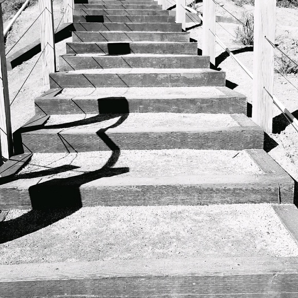 Meet your Posher, Ronald - Picture 1 of 1